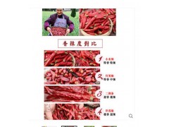 特辣超香小米辣七星椒朝天椒小米椒海椒四川辣椒特产红干辣椒250g图2