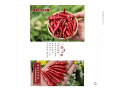 特辣超香小米辣七星椒朝天椒小米椒海椒四川辣椒特产红干辣椒250g图3