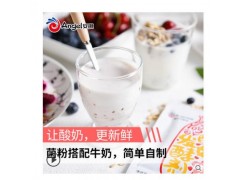 安琪酸奶发酵菌10菌双歧杆菌益生菌粉 乳酸菌种自制酸奶发酵剂8g图3
