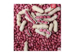 18年新货带壳干红衣花生5斤 红皮小粒生花生四粒红花生农家自产图2