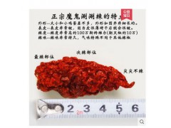 干辣椒特辣变态辣涮涮辣超辣死神辣椒断魂辣椒王正宗印度魔鬼辣椒图2