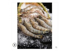 12-15cm 虾鲜活青岛大虾超大冷冻海鲜水产基围虾进口厄瓜多尔白虾图2