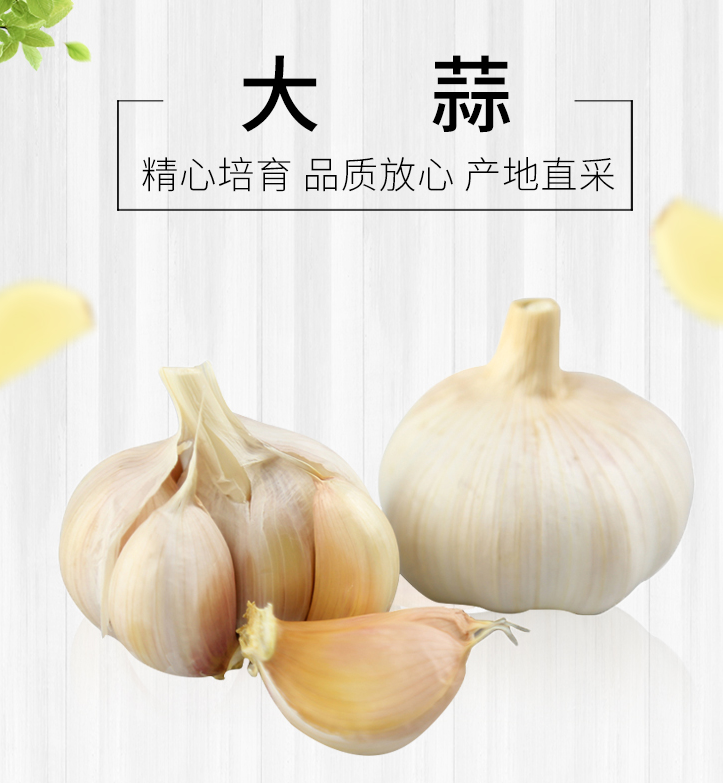 QQ截图20190719110741