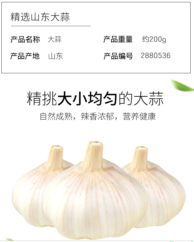 QQ截图20190719110756