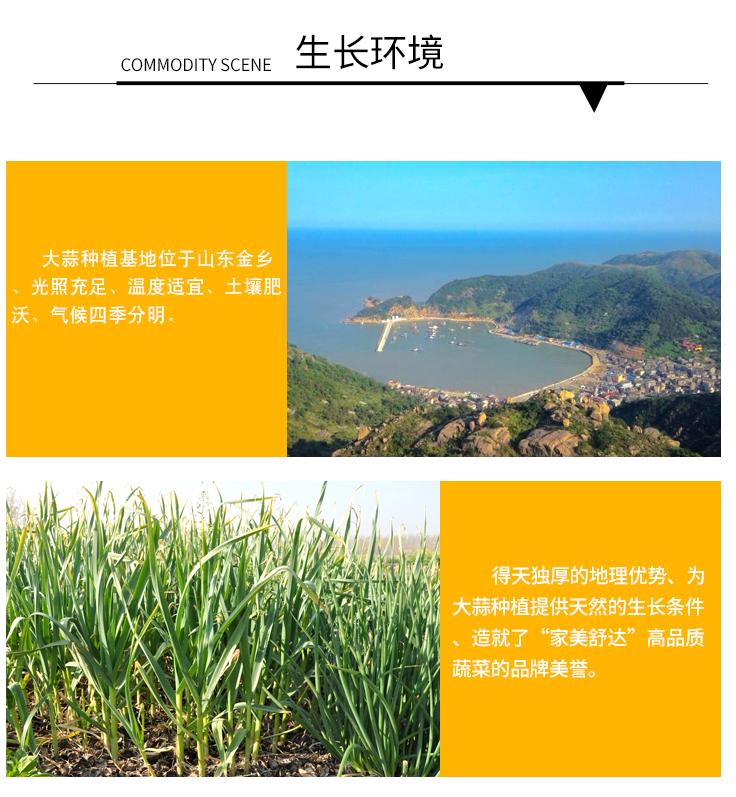 QQ截图20190719110811