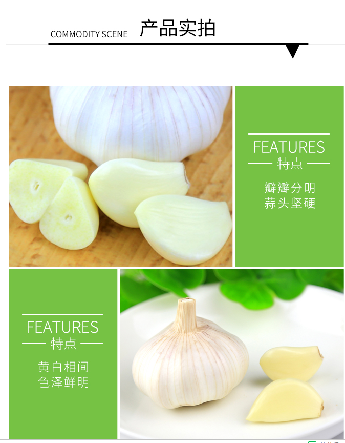 QQ截图20190719110822