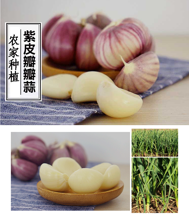 QQ截图20190719111246