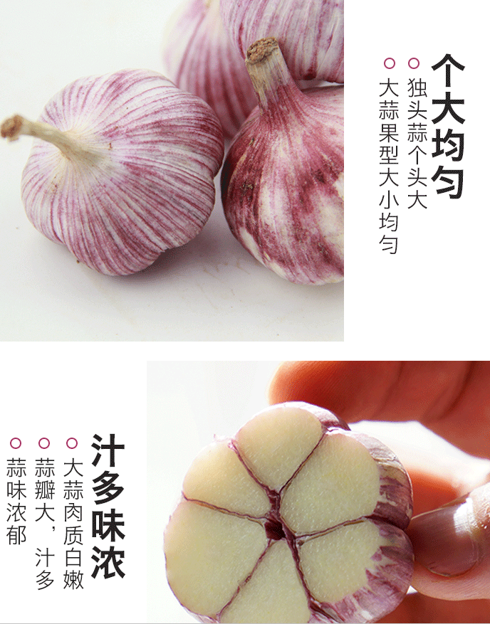 QQ截图20190719111318