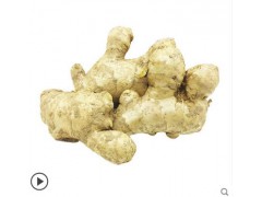 生姜山东特产莱芜大姜老姜母新鲜月子姜母姜黄姜鲜姜蔬菜5斤装图3