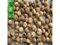 白胡椒粉 白蔻粉 白豆蔻粉 白叩粉 代加工香料粉图2