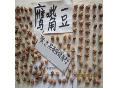 玫瑰花粉 玫瑰粉 玛咖粉 玛卡粉 鹰嘴豆粉 鸡心豆粉图3